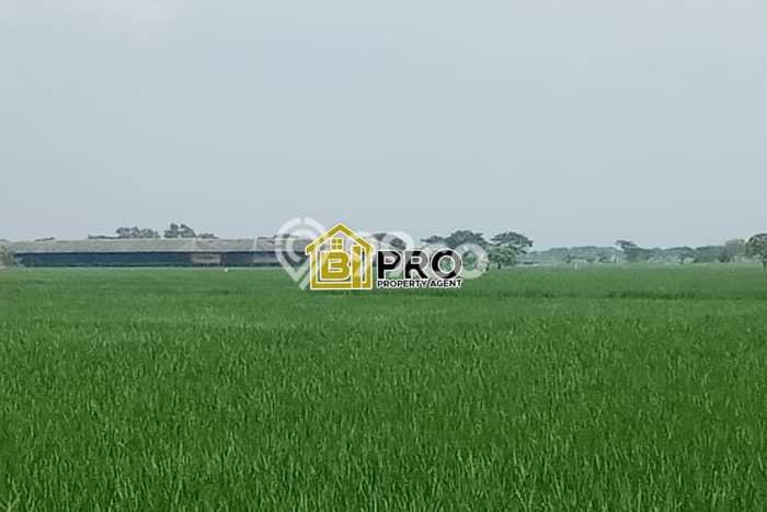 Kavling Tanah Dijual di Pebayuran Bekasi Spesifikasi 190000m2 Kavling Tanah Dijual di Pebayuran Bekasi Spesifikasi 190000m2