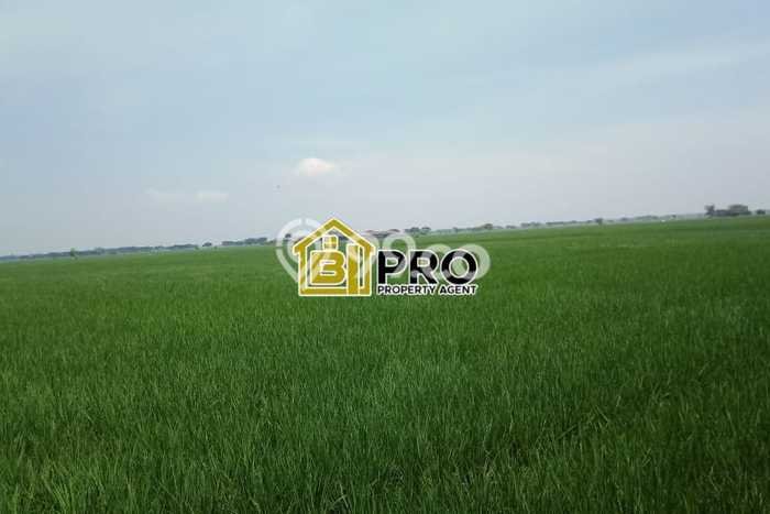 Kavling Tanah Dijual di Pebayuran Bekasi Spesifikasi 190000m2 Kavling Tanah Dijual di Pebayuran Bekasi Spesifikasi 190000m2