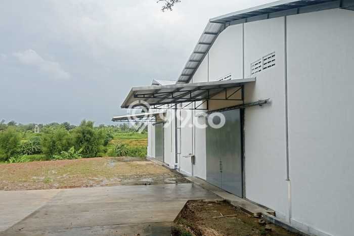 Gudang Disewakan Lokasi Cikande Serang Harga Spesial! Gudang Disewakan Lokasi Cikande Serang Harga Spesial!