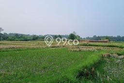 Lahan Dijual Lokasi Gianyar, Gianyar dengan Luas Tanah 1875m2 dan Status SHM Lahan Dijual Lokasi Gianyar, Gianyar dengan Luas Tanah 1875m2 dan Status SHM