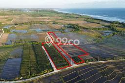 Tanah Dijual Lokasi Tabanan, Tabanan Luas 400m2 Legalitas Aman Tanah Dijual Lokasi Tabanan, Tabanan Luas 400m2 Legalitas Aman
