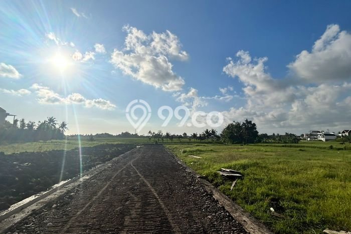 Dijual Tanah Lokasi Beraban, Tabanan Seluas 200m2 Dijual Tanah Lokasi Beraban, Tabanan Seluas 200m2