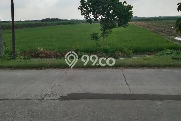 Untuk Dijual Tanah di Kemlagi Mojokerto Luas 50000m2 SHM Untuk Dijual Tanah di Kemlagi Mojokerto Luas 50000m2 SHM