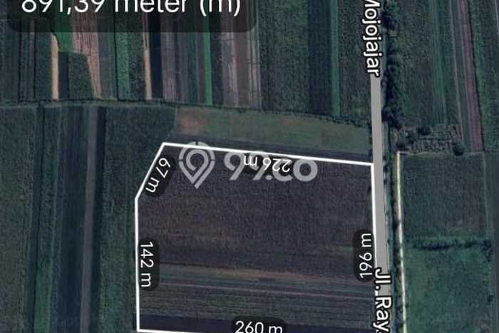 Untuk Dijual Tanah di Kemlagi Mojokerto Luas 50000m2 SHM Untuk Dijual Tanah di Kemlagi Mojokerto Luas 50000m2 SHM
