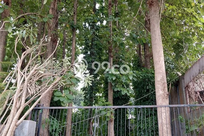Tanah Dijual di Jakarta Barat Seluas 250m2 Strategis Tanah Dijual di Jakarta Barat Seluas 250m2 Strategis