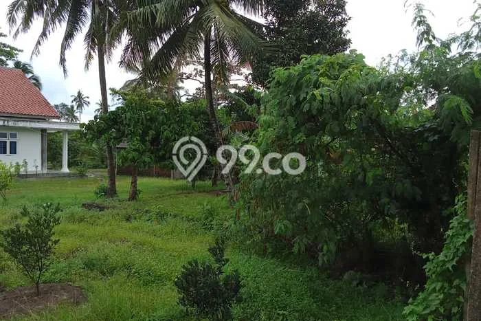 Kavling Tanah Dijual di Cinangka Serang Spesifikasi 30000m2 Kavling Tanah Dijual di Cinangka Serang Spesifikasi 30000m2