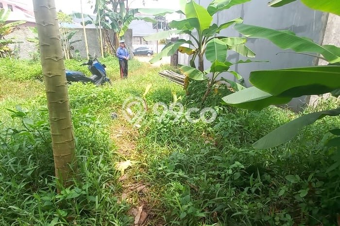 Dijual Tanah di Sukma Jaya Depok Luas 800m2 SHM Dijual Tanah di Sukma Jaya Depok Luas 800m2 SHM