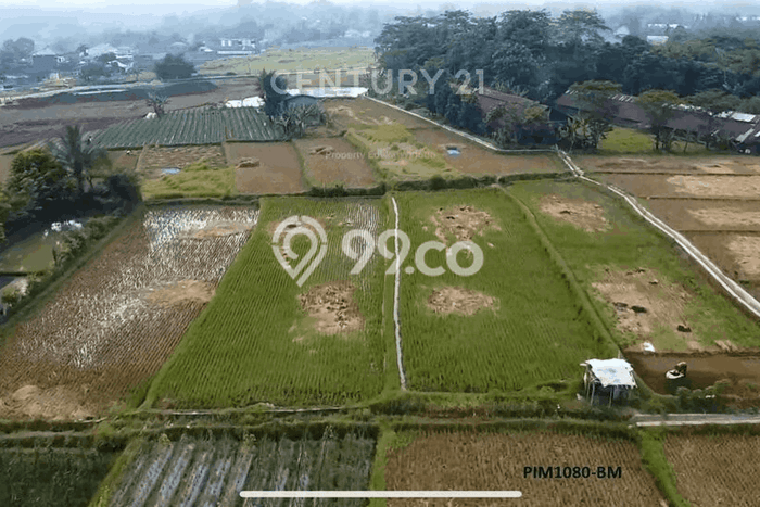 Kavling Tanah Dijual di Cibadak Sukabumi Spesifikasi 4715m2 Kavling Tanah Dijual di Cibadak Sukabumi Spesifikasi 4715m2