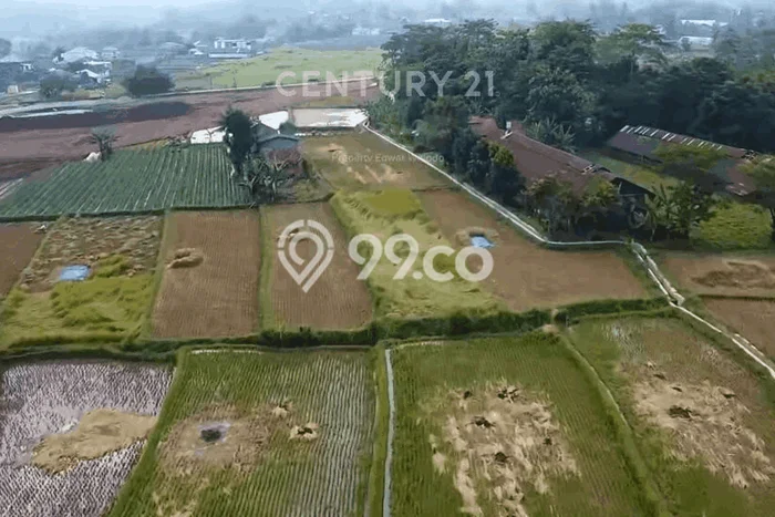 Kavling Tanah Dijual di Cibadak Sukabumi Spesifikasi 4715m2 Kavling Tanah Dijual di Cibadak Sukabumi Spesifikasi 4715m2