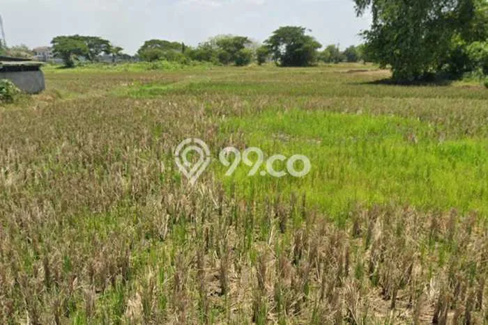 Lahan untuk Dijual di Walantaka Serang Luas 600000m2 Lahan untuk Dijual di Walantaka Serang Luas 600000m2