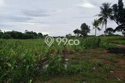 Kavling Tanah di Serang Dijual Luas 300000m2 Legalitas SHM Kavling Tanah di Serang Dijual Luas 300000m2 Legalitas SHM