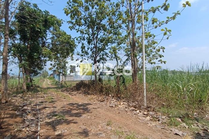 Kavling Tanah Dijual di Mojogedang Karanganyar Spesifikasi 8153m2 Kavling Tanah Dijual di Mojogedang Karanganyar Spesifikasi 8153m2