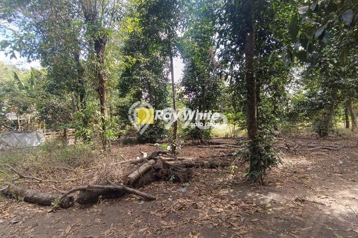 Tanah Kavling untuk Dijual di Jogonalan Klaten 615m2 Tanah Kavling untuk Dijual di Jogonalan Klaten 615m2