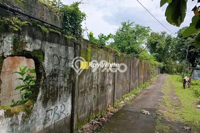 Kavling Tanah Dijual di Kebakkramat, Karanganyar, Luas 5305m2 Area Strategis Kavling Tanah Dijual di Kebakkramat, Karanganyar, Luas 5305m2 Area Strategis