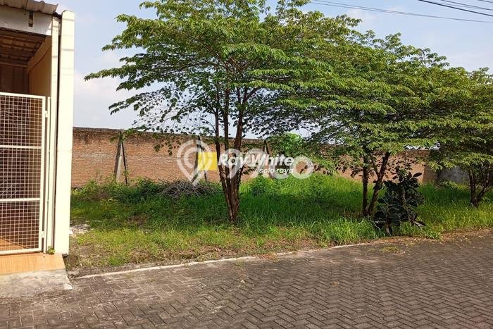 Tanah Strategis Dijual di Mojolaban Sukoharjo 147m2 Tanah Strategis Dijual di Mojolaban Sukoharjo 147m2