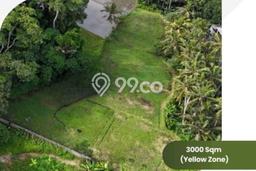 Lahan Kosong Dijual di Ubud, Gianyar, Luas 3000m2 Area Strategis Lahan Kosong Dijual di Ubud, Gianyar, Luas 3000m2 Area Strategis