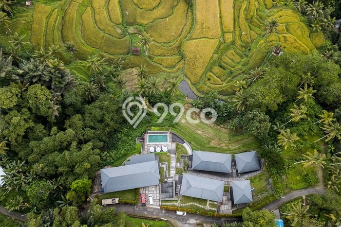 Hotel di Tegallalang, Luas 1145m2m², Kawasan Bisnis, Ramai Hotel di Tegallalang, Luas 1145m2m², Kawasan Bisnis, Ramai