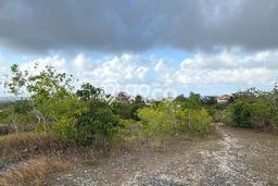 Tanah Dijual Area Strategis di Jimbaran Badung 1600m2 Tanah Dijual Area Strategis di Jimbaran Badung 1600m2