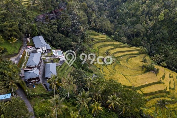 Hotel di Tegallalang, Luas 1145m2m², Kawasan Bisnis, Ramai Hotel di Tegallalang, Luas 1145m2m², Kawasan Bisnis, Ramai