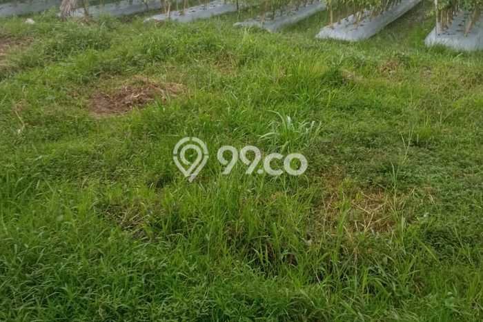 Tanah Kavling untuk Dijual di Tambun Utara Bekasi 1700m2 Tanah Kavling untuk Dijual di Tambun Utara Bekasi 1700m2