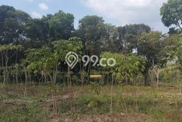 Dijual Tanah di Garut, Luas 3905m2 SHM Dijual Tanah di Garut, Luas 3905m2 SHM