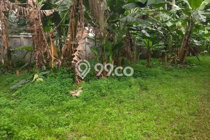 Tanah untuk Dijual di Jatisampurna Bekasi Luas 6000m2 Tanah untuk Dijual di Jatisampurna Bekasi Luas 6000m2