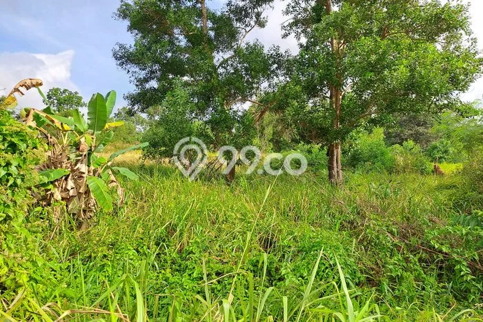 Tanah Kosong Dijual di Batam dengan Area 20000m2 Tanah Kosong Dijual di Batam dengan Area 20000m2