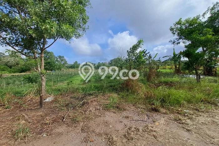 Tanah Kosong Dijual di Batam dengan Area 20000m2 Tanah Kosong Dijual di Batam dengan Area 20000m2
