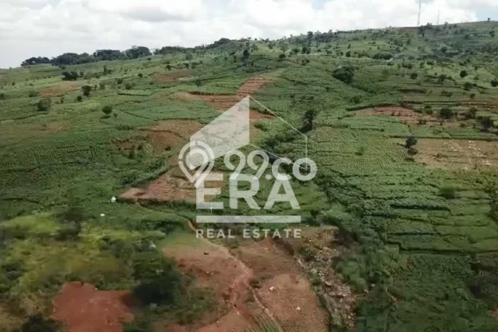 Tanah Kavling di Sentul City Dijual dengan Luas 120000m2 Tanah Kavling di Sentul City Dijual dengan Luas 120000m2