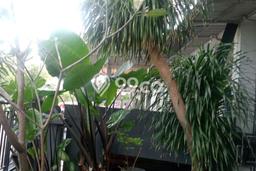 Lokasi terbaik! Rumah siap pakai disewakan di Rungkut LB 140m2 Lokasi terbaik! Rumah siap pakai disewakan di Rungkut LB 140m2