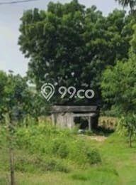 Jarang Ada! Tanah di Paciran Punya Luas 6141m2 - Jarang Ada! Tanah di Paciran Punya Luas 6141m2 -