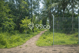 Lahan Sewa di Cinangka Serang dengan Luas 2365m2 Lahan Sewa di Cinangka Serang dengan Luas 2365m2