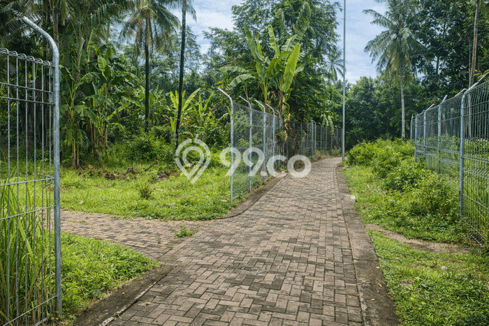 Lahan Sewa di Cinangka Serang dengan Luas 2365m2 Lahan Sewa di Cinangka Serang dengan Luas 2365m2