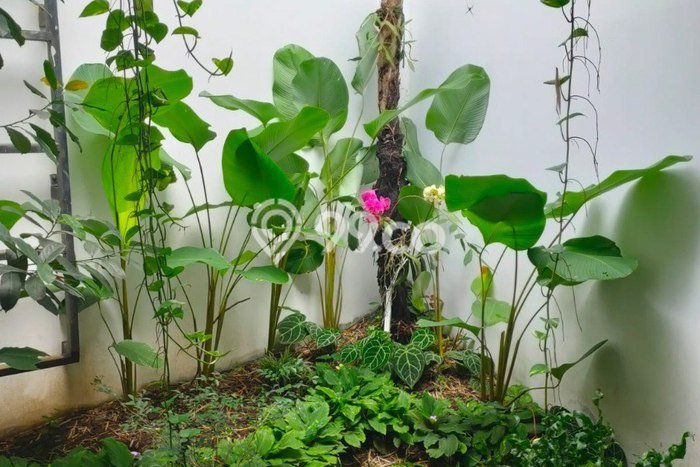 Jual Rumah Eksklusif 2 KT di Cisaranten, Bandung Jual Rumah Eksklusif 2 KT di Cisaranten, Bandung