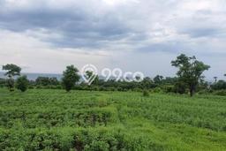 Tanah Kavling di Karangasem Dijual dengan Luas 22000m2 Tanah Kavling di Karangasem Dijual dengan Luas 22000m2