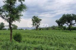 Kavling Tanah Dijual di Karangasem Karangasem Spesifikasi 7m2 Kavling Tanah Dijual di Karangasem Karangasem Spesifikasi 7m2