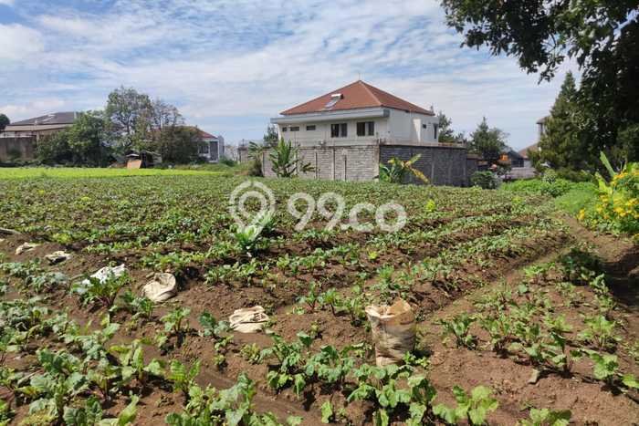 Untuk Dijual Tanah 1980m2 di Setiabudi, Bandung Untuk Dijual Tanah 1980m2 di Setiabudi, Bandung