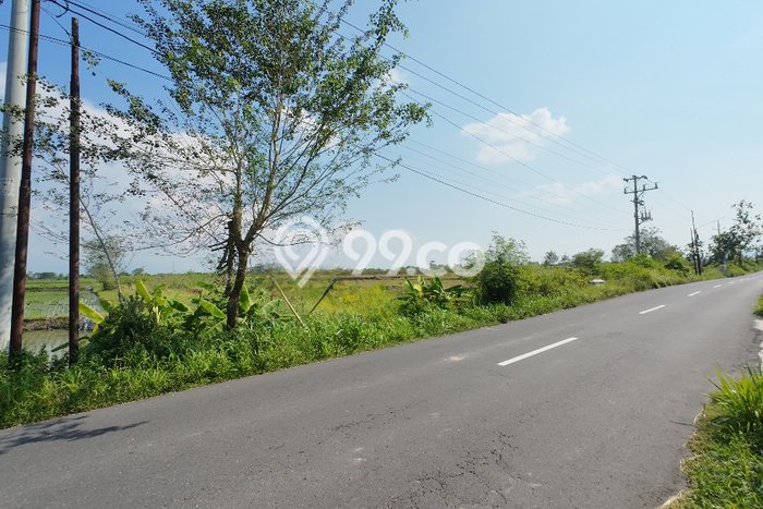 Lahan Dijual Lokasi Polanharjo, Klaten dengan Luas Tanah 45230m2 dan Status - Lahan Dijual Lokasi Polanharjo, Klaten dengan Luas Tanah 45230m2 dan Status -