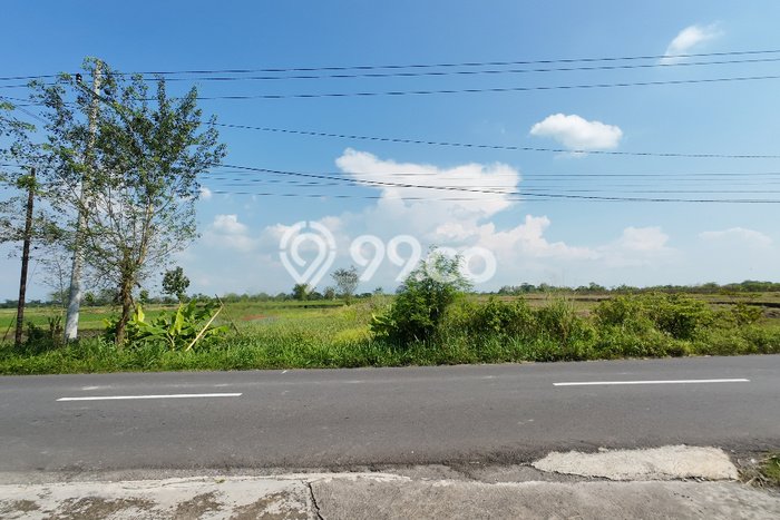 Lahan Dijual Lokasi Polanharjo, Klaten dengan Luas Tanah 45230m2 dan Status - Lahan Dijual Lokasi Polanharjo, Klaten dengan Luas Tanah 45230m2 dan Status -