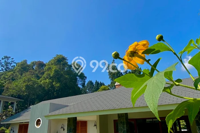 RENT! Vila Kawasan , Area 0m2m², Dekat Mudah Fasilitas Umum RENT! Vila Kawasan , Area 0m2m², Dekat Mudah Fasilitas Umum