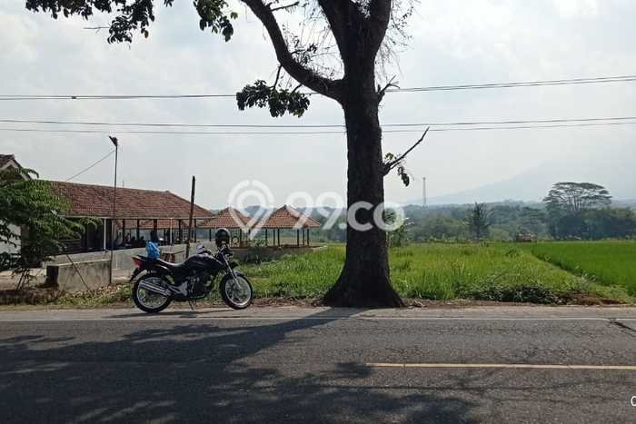Tanah Dijual Lokasi Cihaurbeuti, Ciamis Luas 1406m2 Legalitas Aman Tanah Dijual Lokasi Cihaurbeuti, Ciamis Luas 1406m2 Legalitas Aman