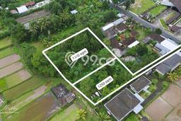 Tanah untuk Dijual Lokasi Baturiti, Tabanan Luas 2750m2 SHM Tanah untuk Dijual Lokasi Baturiti, Tabanan Luas 2750m2 SHM