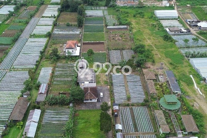 Tanah Siap Bangun Dijual di Tabanan Punya Luas 5000m2 Tanah Siap Bangun Dijual di Tabanan Punya Luas 5000m2
