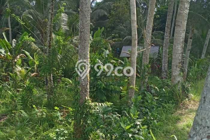 Dijual Tanah di Gianyar, Luas 1400m2 SHM Dijual Tanah di Gianyar, Luas 1400m2 SHM