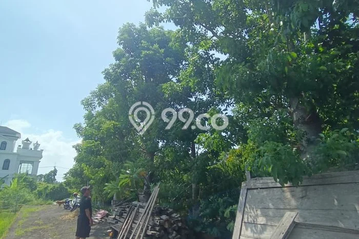 Jarang Ada! Tanah di Sukawati Punya Luas 1100m2 SHM Jarang Ada! Tanah di Sukawati Punya Luas 1100m2 SHM