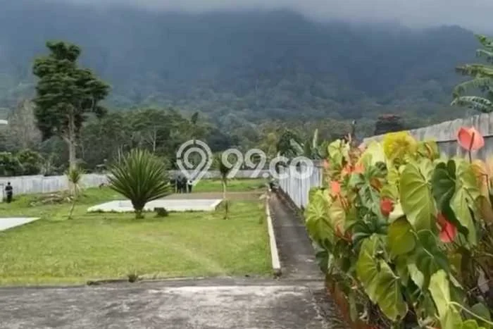 Tanah Kavling Dijual di Tabanan dengan Spesifikasi 5000m2 Tanah Kavling Dijual di Tabanan dengan Spesifikasi 5000m2