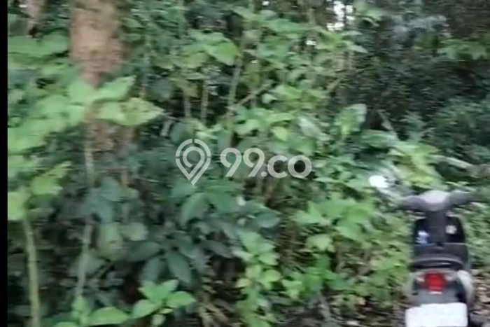 Tanah Kavling Dijual di Gianyar dengan Spesifikasi 2000m2 Tanah Kavling Dijual di Gianyar dengan Spesifikasi 2000m2