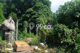 Tanah Siap Pakai Disewakan di Denpasar Timur, Denpasar, Luas 250m2 Tanah Siap Pakai Disewakan di Denpasar Timur, Denpasar, Luas 250m2