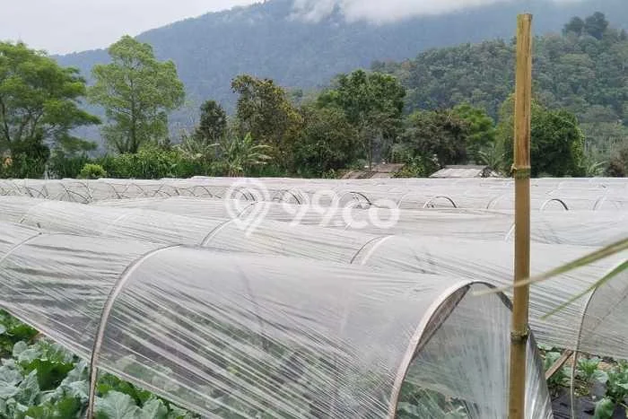 Lahan Dijual Lokasi Strategis di Tabanan dengan Luas 1250m2 Lahan Dijual Lokasi Strategis di Tabanan dengan Luas 1250m2