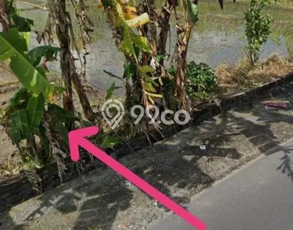 Dijual Tanah di Tabanan, Luas 2300m2 SHM Dijual Tanah di Tabanan, Luas 2300m2 SHM